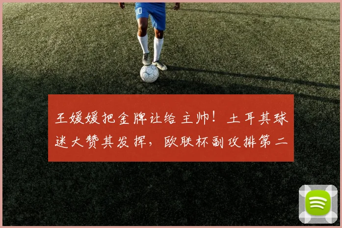 王媛媛把金牌让给主帅！土耳其球迷大赞其发挥，欧联杯副攻排第二