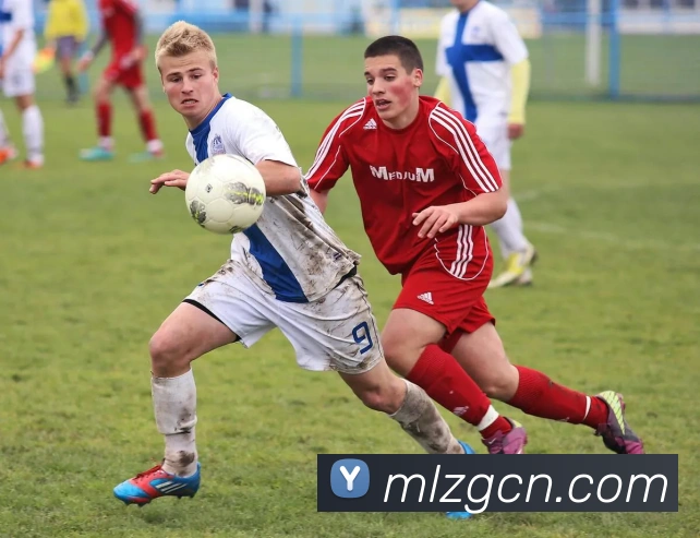 App Interface Preview