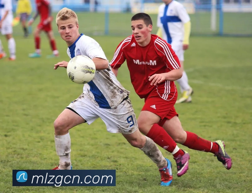 星空网页版官网入口APP 封面图