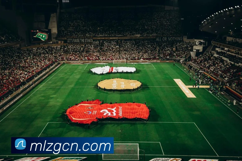 数据防护可视化